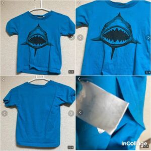 サメ　Tシャツ