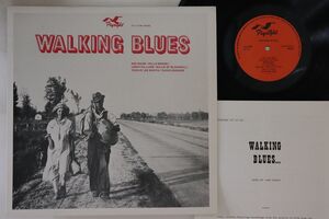 英LP Various Walking Blues FLYLP541 FLYRIGHT /00260