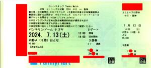 ７／１３（土）中日×阪神★内野Ａ(３塁)おとな★１０～１９段目　通路側　１席