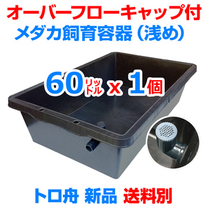 メダカ飼育ケース【60㍑トロ舟 1個 オーバーフローキャップ付】送料別 めだか飼育容器 金魚 メダカ掬い ビオトープ 水草【五色アクア】