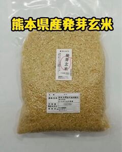 熊本県産 令和6年新米100% 発芽玄米 2kg ヒノヒカリ　