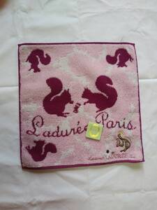 ★未使用★LADUREE★ラデュレ★タオルハンカチ　リス　ピンク　28x28