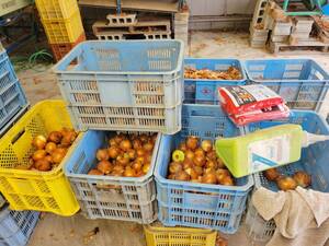 淡路島産玉ねぎ甘くて美味しい新鮮玉ねぎをお届け逸品3kg