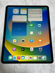 iPad Pro 第3世代 Wi-Fiモデル 64GB 12.9インチ シルバー sku06 充電ポート難あり