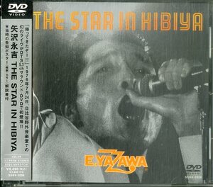 D00169166/▲▲DVD/矢沢永吉「The Star In Hibiya」