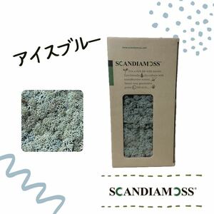 スカンディアモス SCANDIAMOSS アイスブルー 50ｇ ディスプレイ 苔 モス 天然素材 ブルー系 メンテナンスフリー