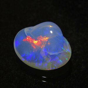 【高品質】シェルオパール 良質 グレード 3.84ct 七色遊色 希少 化石【激レア】品番:2403054