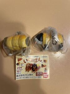 いぬぱん　ウィンナードッグ　黒と茶のセット