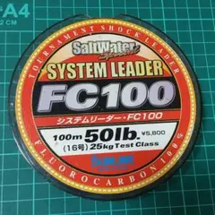 サンライン システムリーダー FC100  50lb100m 未使用品