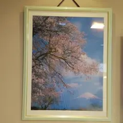 桜と富士山の写真  額入り