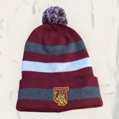 [0] Tuskegee University Knit Hat