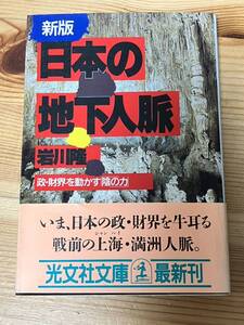 新版 日本の地下人脈 政・財界を動かす「陰の力」　岩川隆　光文社文庫