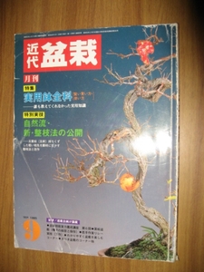 近代盆栽　１９８５年９月号　実用鉢全科　自然流新整枝法