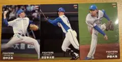 プロ野球チップス2024 エラーカード　北海道日本ハムファイターズ