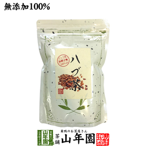 健康茶 無添加 ハブ茶 ケツメイシ種 500g 送料無料