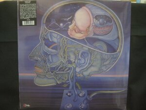 クリアライト / Clearlight / Clear Light Symphony / 再発盤 / 未開封品 ◆LP7133NO ORP◆LP