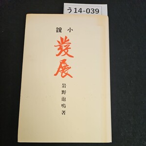 う14-039 小説 發展 岩野泡鳴 著 新選 名著複刻全集 近代文学館