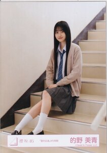 櫻坂46 的野美青 「夏の近道」MV制服 生写真 座り