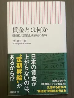 賃金とは何か 濱口桂一郎著