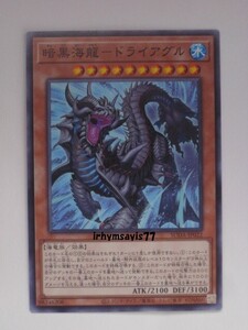 遊戯王 暗黒海龍－ドライアグル ノーマル モンスター 1枚 未使用品 日版 SUDA 数量9