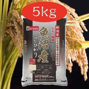 定価4244円 お歳暮 高級 三越ギフト 幸南食糧 おくさま印 精米 新潟県 魚沼産 こしひかり 5kg 令和5年産 精米日 2024.8月下旬 新米 伊勢丹