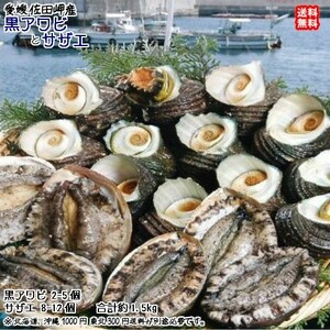 黒アワビ（2~5個で400~500g）と サザエ（8~12個で900~1000g） 愛媛 浜から直送 送料無料 北海道/沖縄/東北は別途送料 宇和海の幸問屋