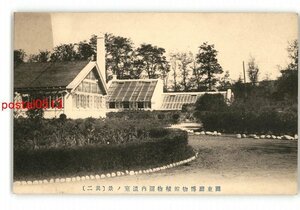 XyT5895●満州 関東庁博物館植物園内温室の景 その2 *傷み有り【絵葉書】