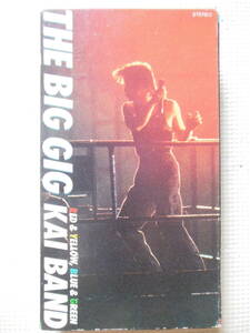 『甲斐バンド/THE BIG GIG』甲斐よしひろ(中古VHSビデオ)