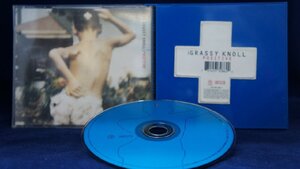 14_03252 Positive【輸入盤】/ The Grassy Knoll