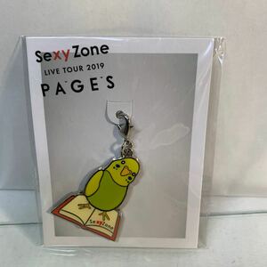 Sexy Zone PAGES キーホルダー/8