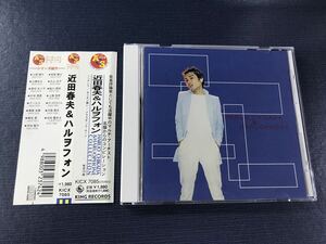 【キングCD文庫】近田春夫＆ハルヲフォン　全16曲収録　※ケースは新品と交換しました！ディスクもキレイです！