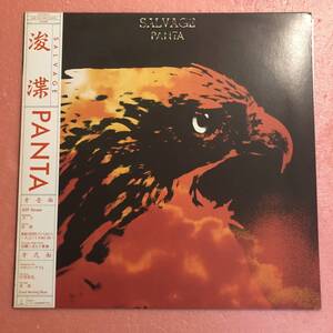 美盤 LP 国内盤 Panta Salvage 浚渫 頭脳警察