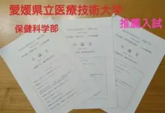 愛媛県立医療技術大学過去問　愛媛県立医療技術大学　入学試験問題　小論文