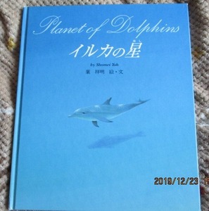 希少 葉祥明 直筆サイン入り イルカの星 佼成出版社 可愛いイルカの小さなイラスト入りのサインです♪レターパックライトでお届け