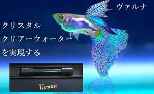 水槽の水が綺麗になります【ヴァルナ8㎝】水替え不要で透明度を抜群に保ちます！有害物質や病原菌も強力抑制！魚が元気に長生きします