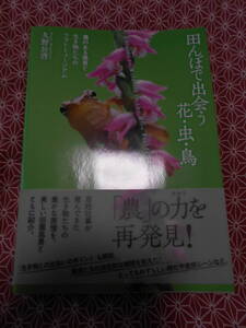 ★田んぼで出会う花・虫・鳥―農のある風景と生き物たちのフォトミュージアム★久野公啓(著)★この本片手に自然をみてみましょう！