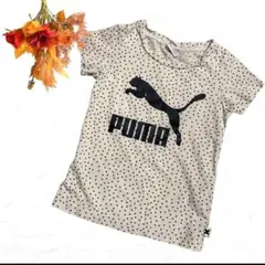 PUMA プーマ 半袖Tシャツ 水玉 ドット デカロゴプリント ベビー