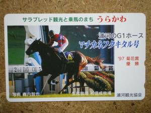 I1775・マチカネフクキタル　競馬　テレカ