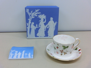 5423PNZ◎WEDGWOOD ウェッジウッド ワイルドストロベリー カップ＆ソーサー(デルフィ)◎未使用