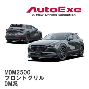 【AutoExe/オートエグゼ】 DM-06 スタイリングキット フロントグリル マツダ CX-30 DM系 [MDM2500]