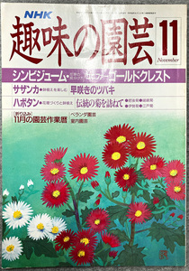 NHK 趣味の園芸 昭和63年 11月 シンビジューム コニファーゴールドクレスト　ガーデニング 盆栽 花壇 菜園