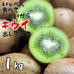 和歌山県産　キウイ　箱込み1kg