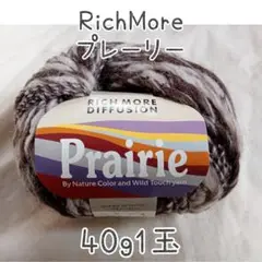 リッチモア プレーリー 茶系 スラブヤーン 40ｇ1玉