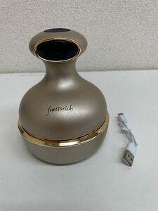 フェッタリッチ スカルプヘッドスパ 美容家電　稼動品　　　　　F448