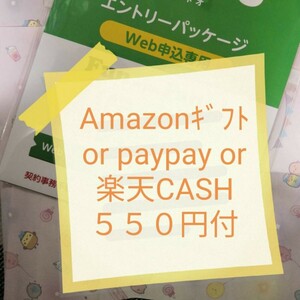 即対応 オマケ付　５５０円付（pay/アマ/楽天） mineoマイネオエントリーパッケージ　コード　紹介URL 招待 543