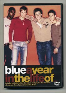 【送料無料】[DVD] ブルー BLUE 「 A YEAR IN THE LIFE OF 」▲解説なしUsed品