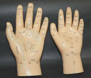 手人形 鍼・灸・経穴 手経穴・反射区模型（大人/小人セット）2個