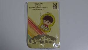 BTS　TinyTAN モアプラス アクリルキーチェーン J-HOPE　セガ　新品　非売品