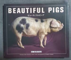 CD2　ビューティフルピッグ　beautiful pigs　スタジオタッククリエイティブ　2011年　豚の写真集・図鑑　送料込