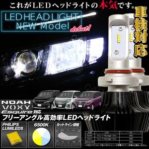 80 ヴォクシー ハイビーム HB3 Philips LEDヘッドライト 6500k 8000LM 新基準車検対応 フリーアングル 高効率 カットライン調整 1年保証